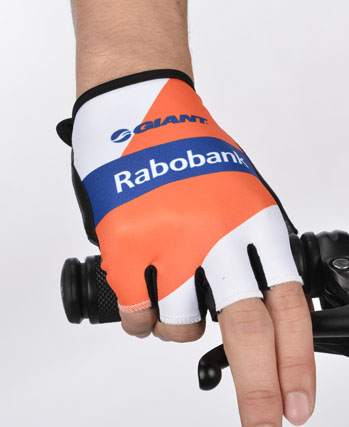 2014 Rabobank Guanto Ciclismo